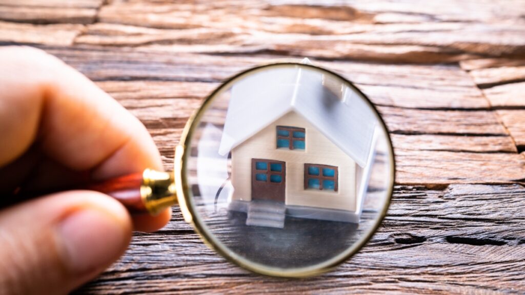 _Didier Mathus Immobilier