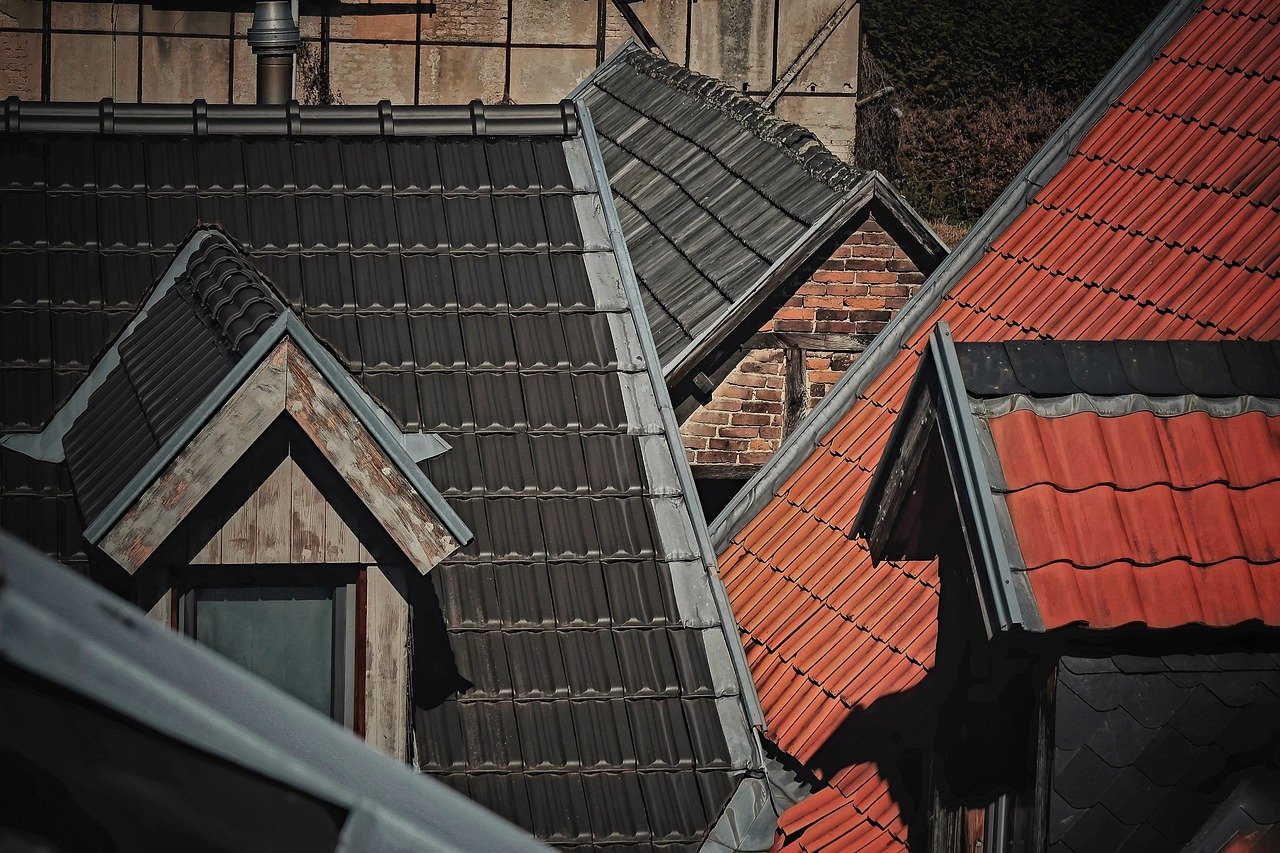 nettoyage toiture écologique