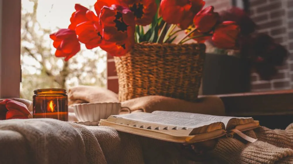 kit book nook