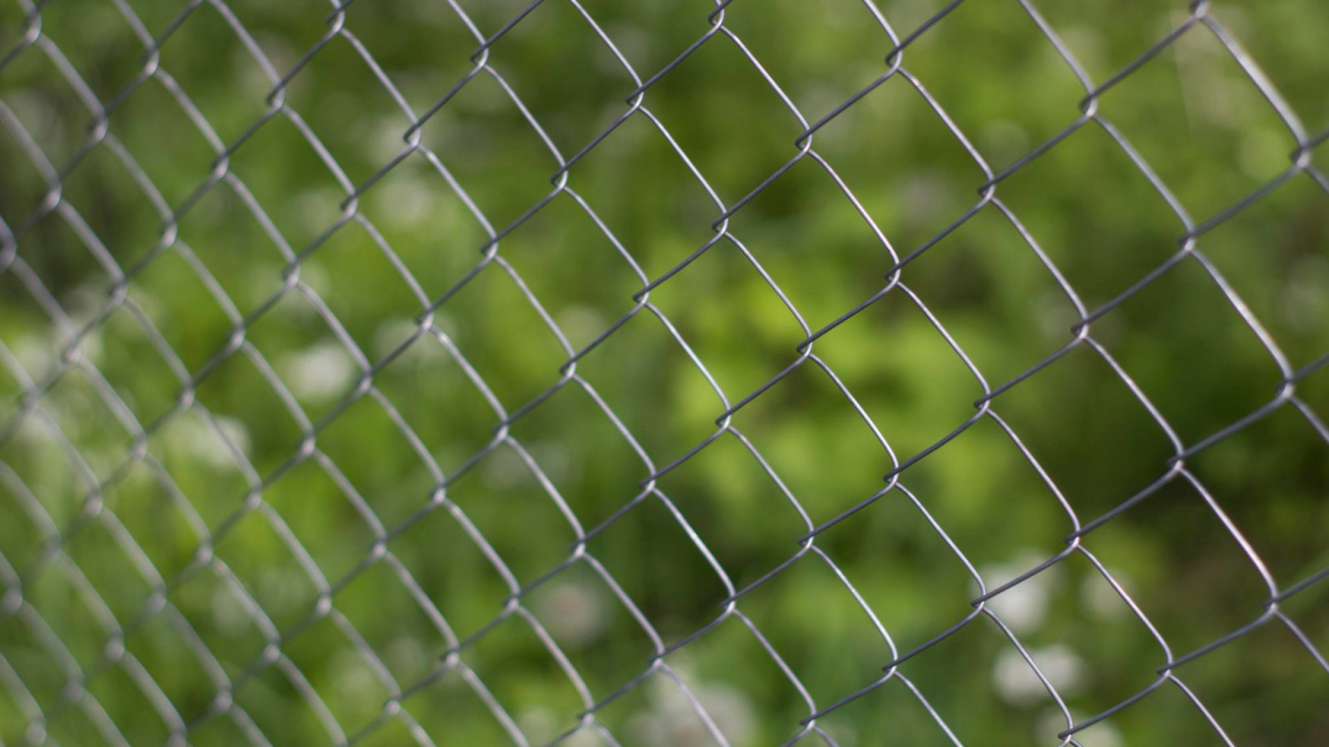 Grillage ou clôture rigide : comment choisir selon ses besoins et son budget ?