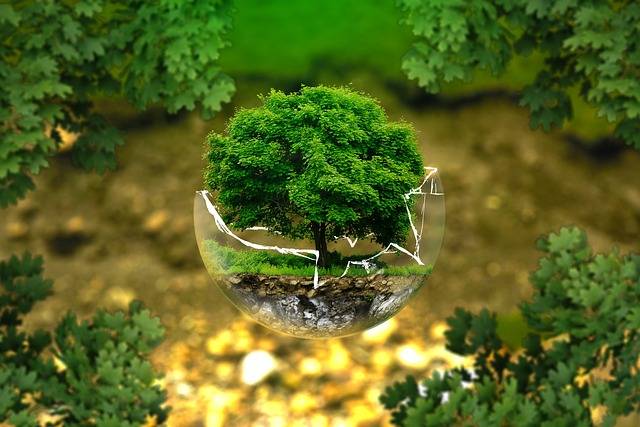 préservation de l'environnement 